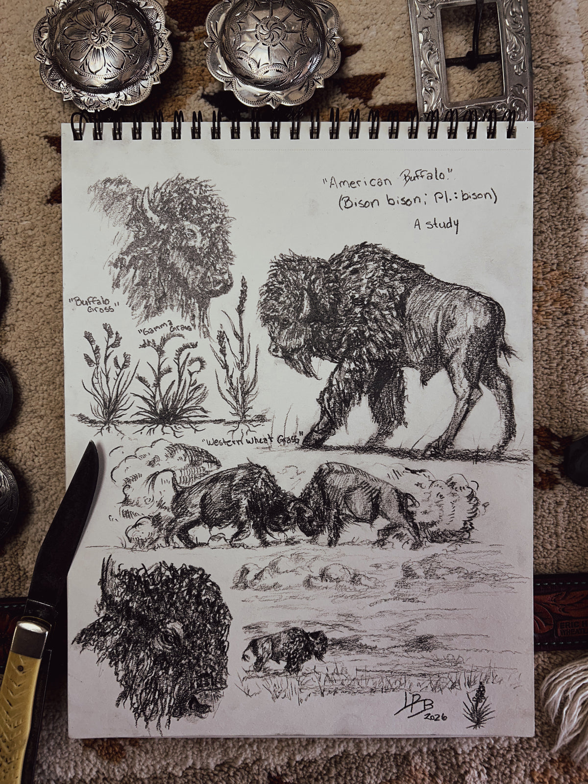 American Buffalo Study - original