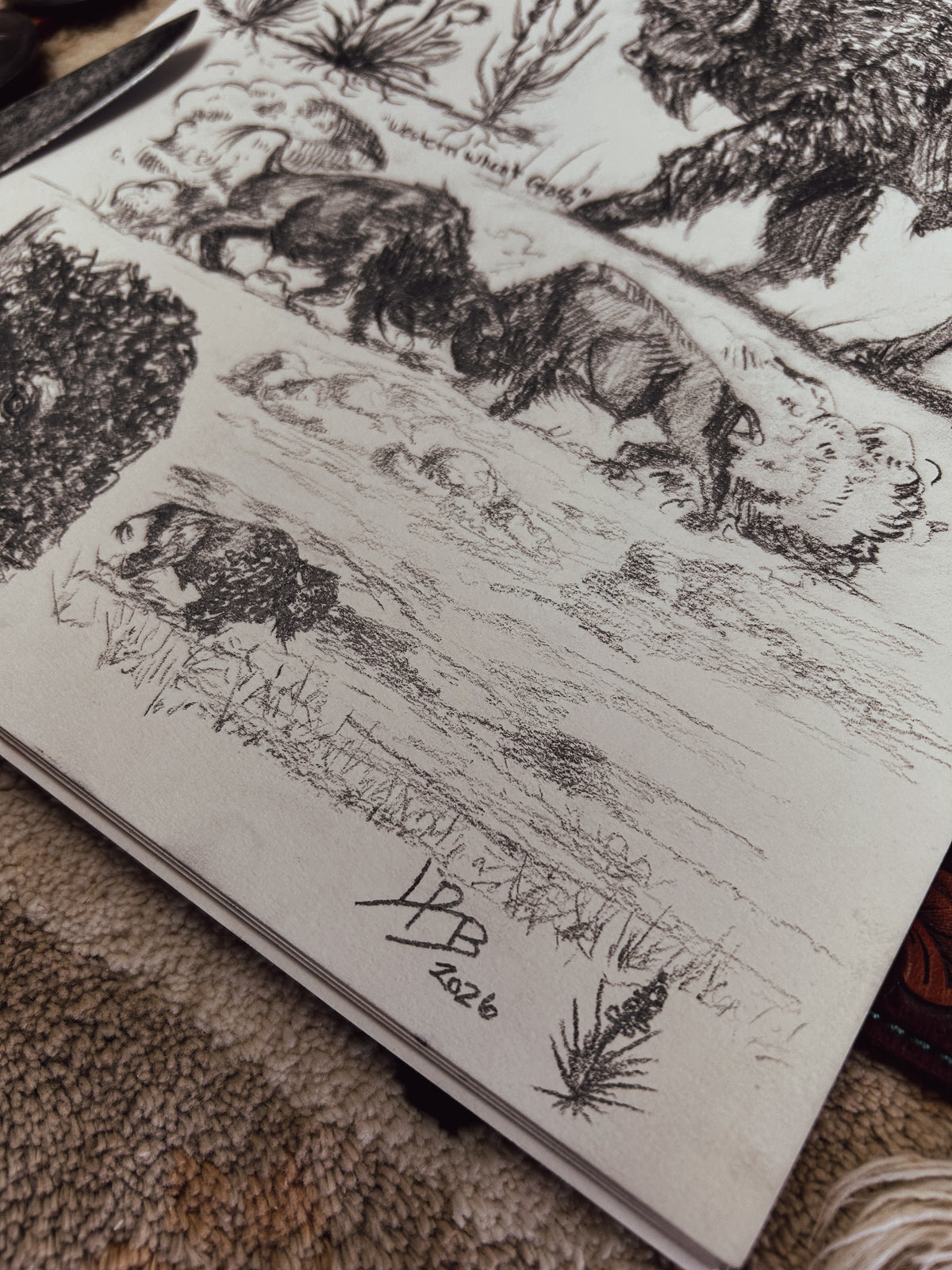 American Buffalo Study - original
