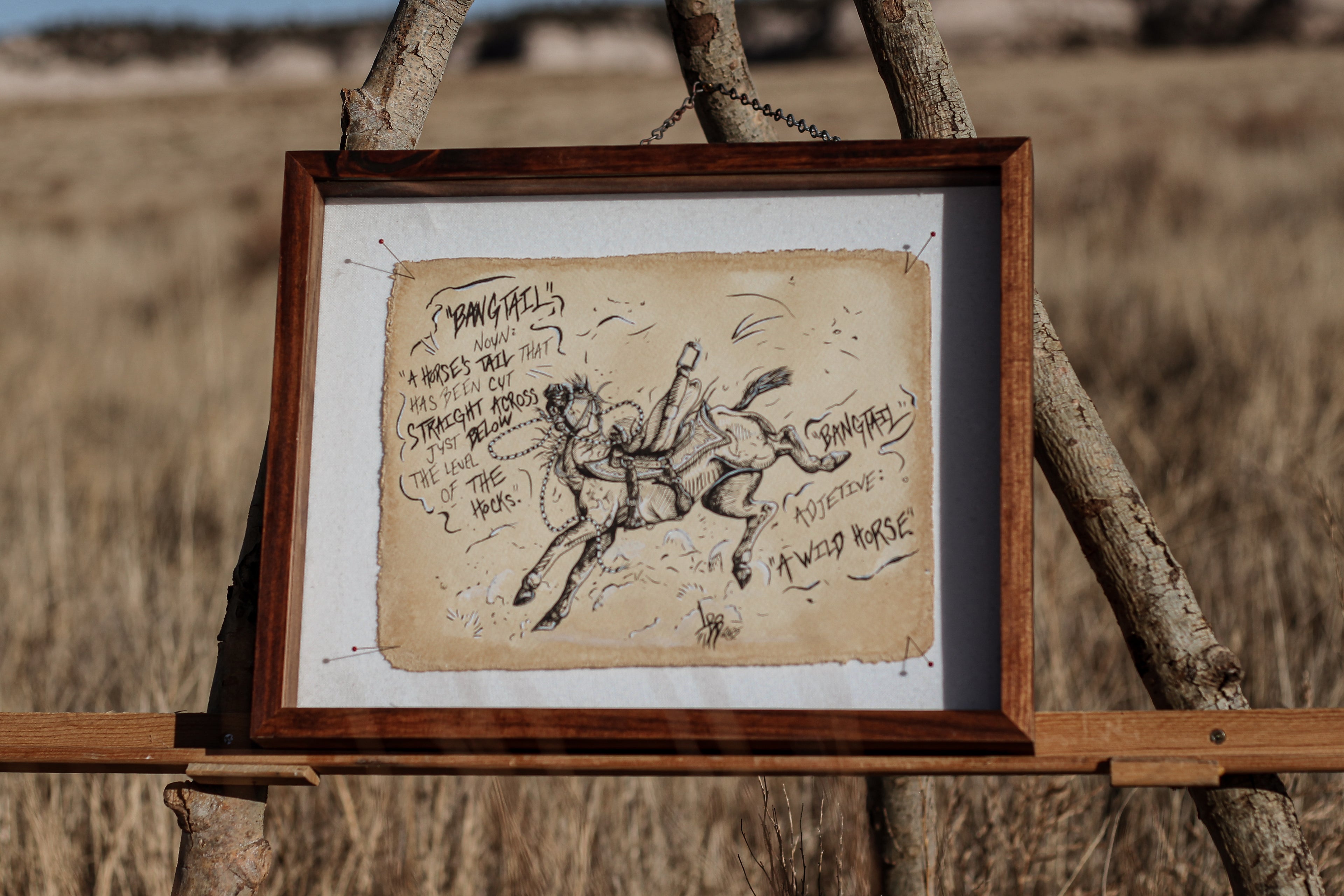 “Bangtail” - Original