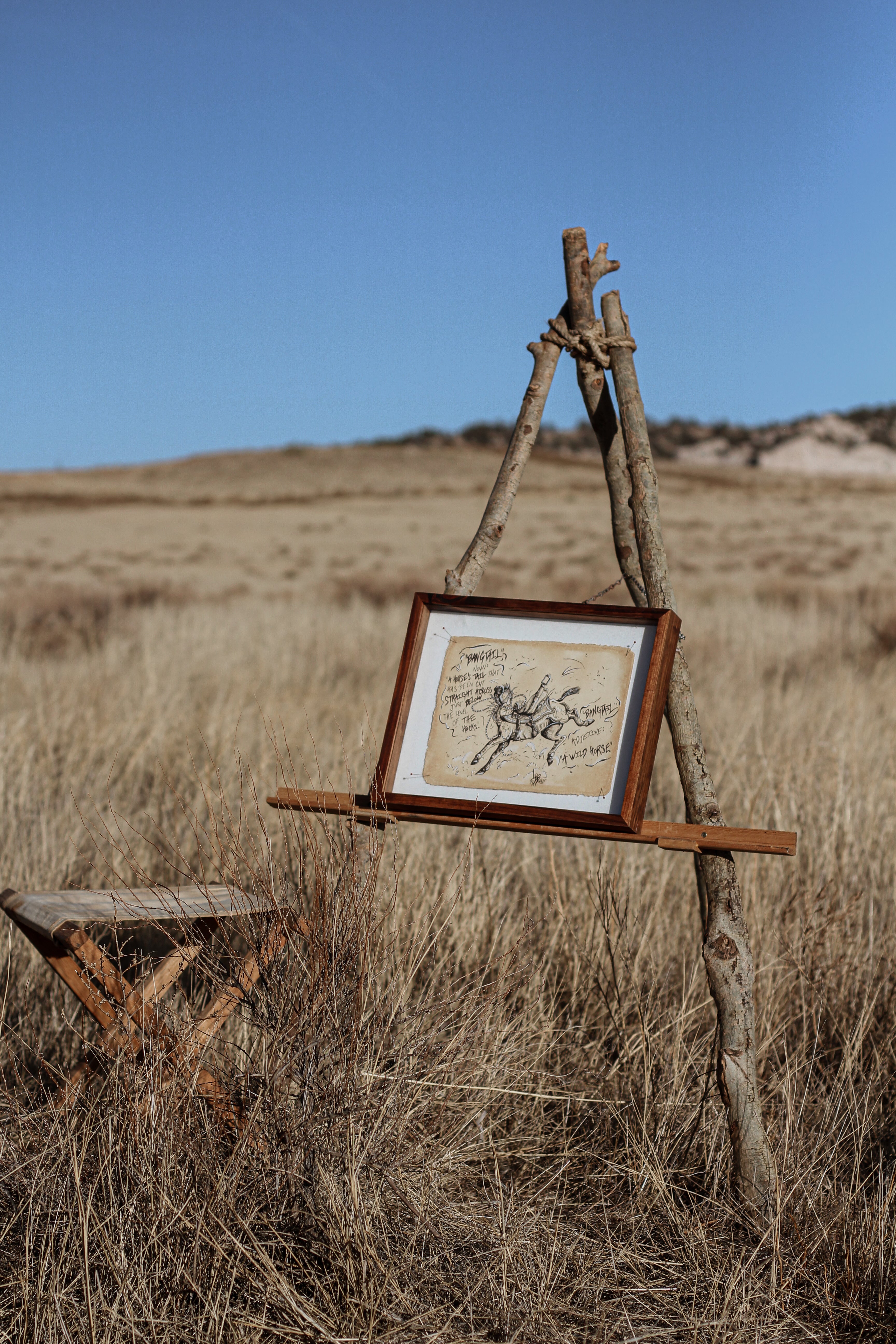 “Bangtail” - Original